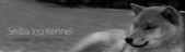 Website X5 Template